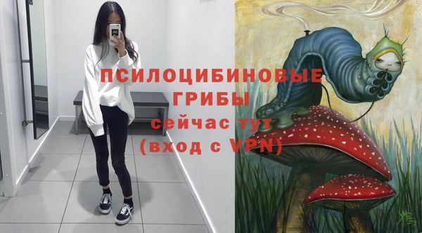 дмт Абинск